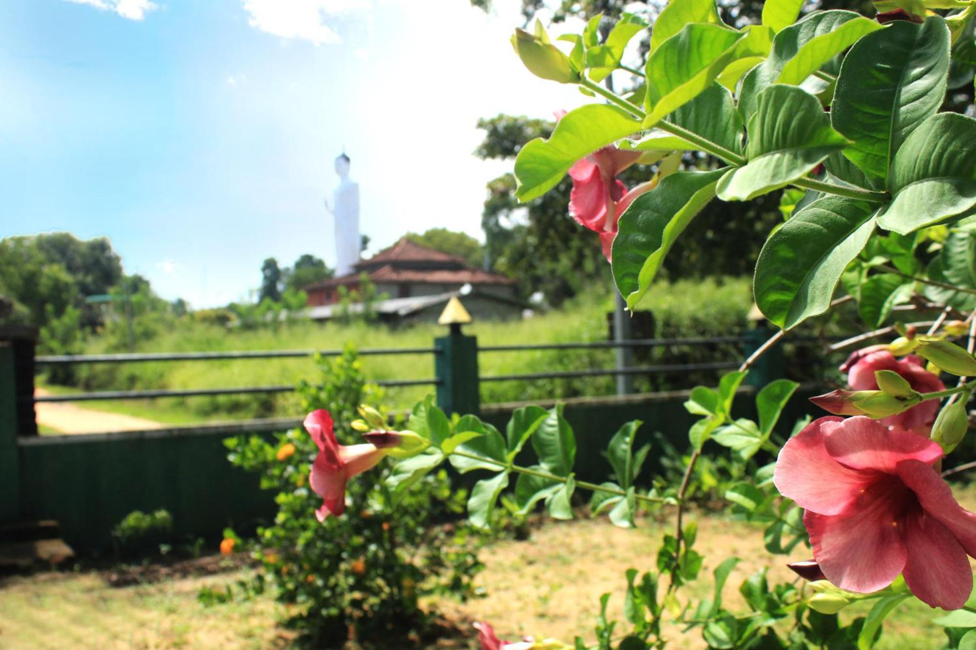 Green Hut Nature Resort Sigiriya Exteriér fotografie