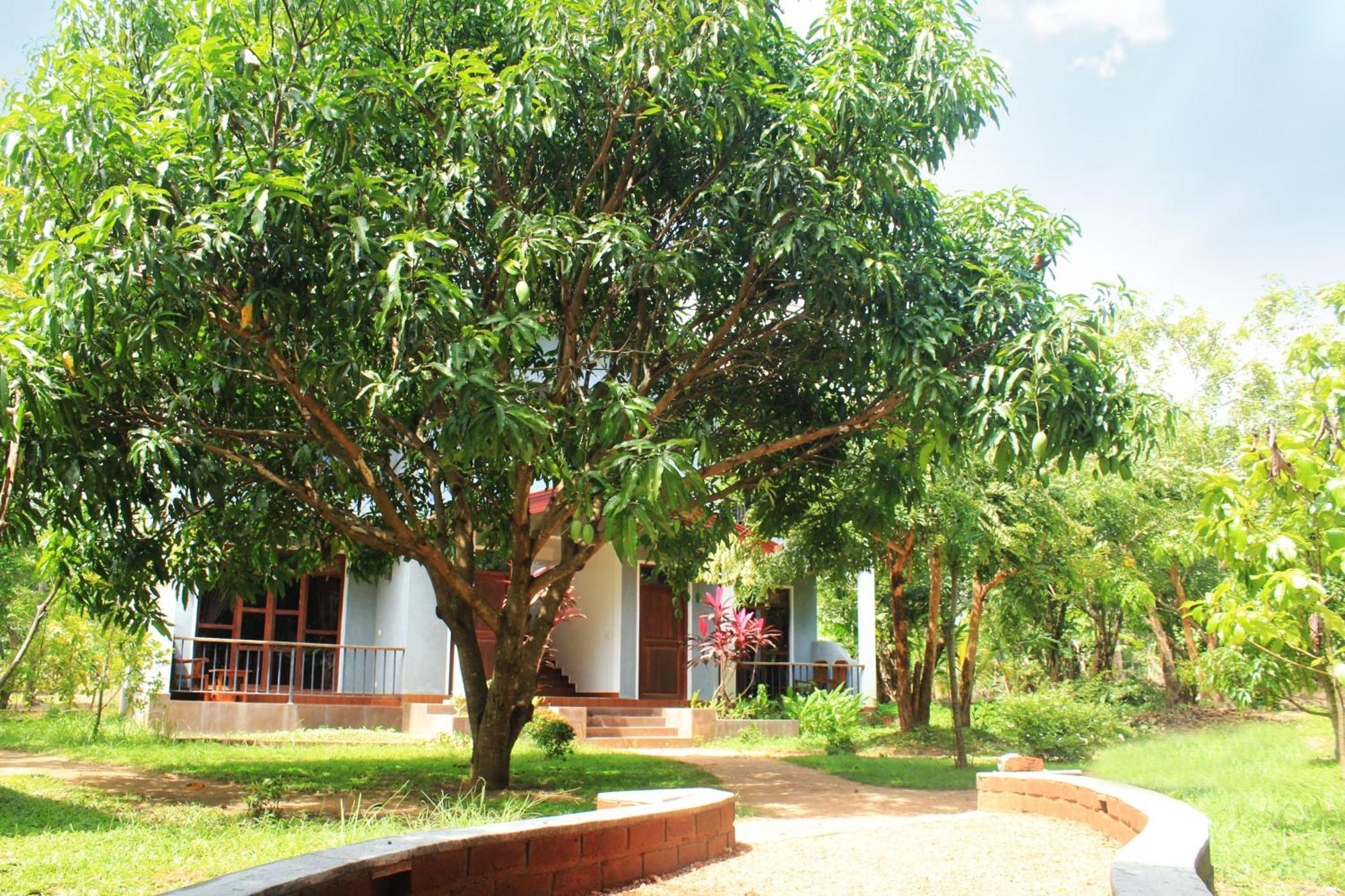 Green Hut Nature Resort Sigiriya Exteriér fotografie